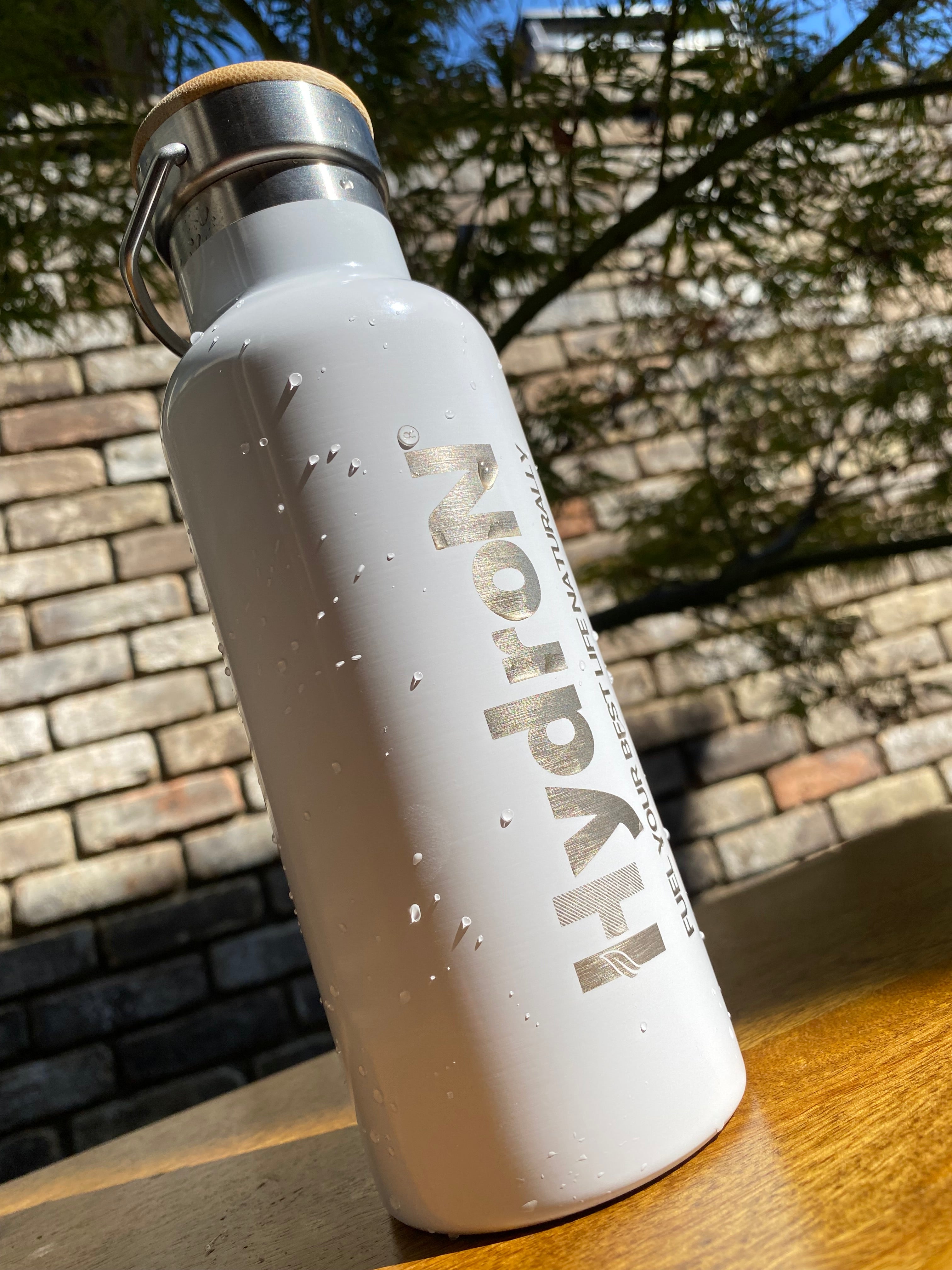 HydroN: Insulated Bottle